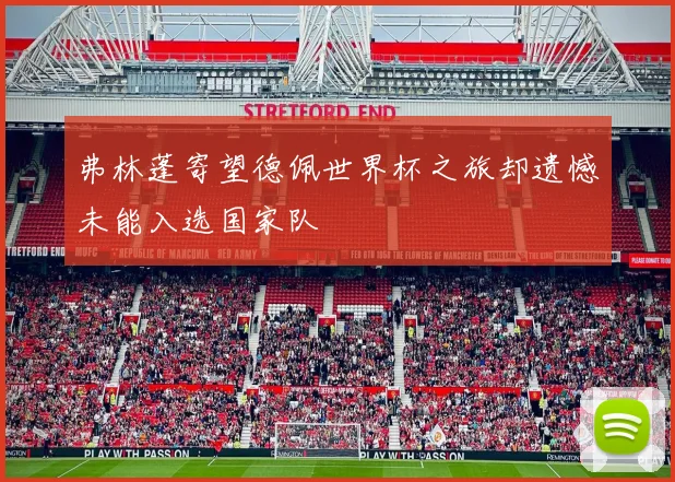 弗林蓬寄望德佩世界杯之旅却遗憾未能入选国家队